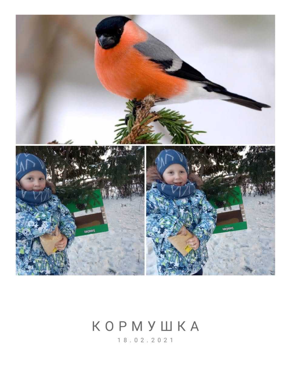 Экологическая акция «Покормите птиц зимой – 2021»