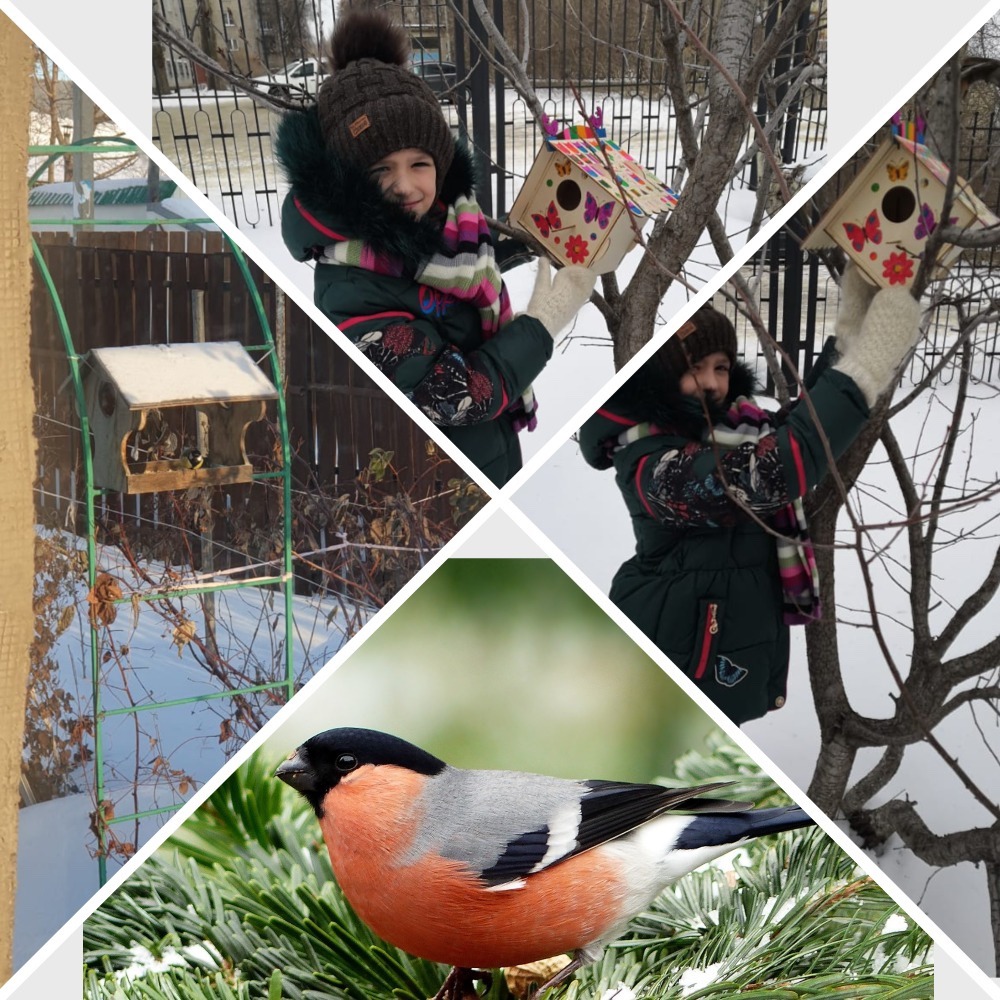 Экологическая акция «Покормите птиц зимой – 2021»